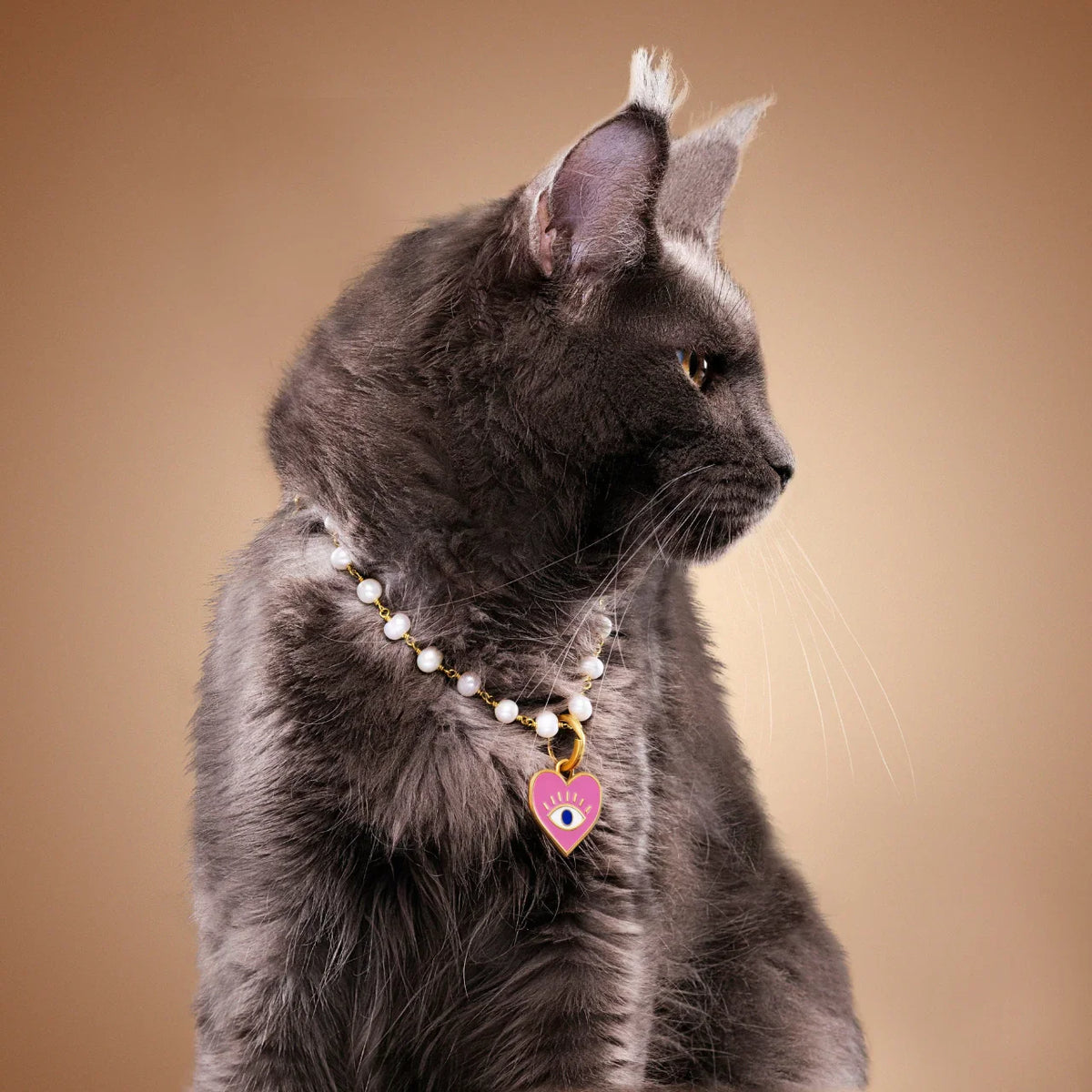 Pet Wellness Tips