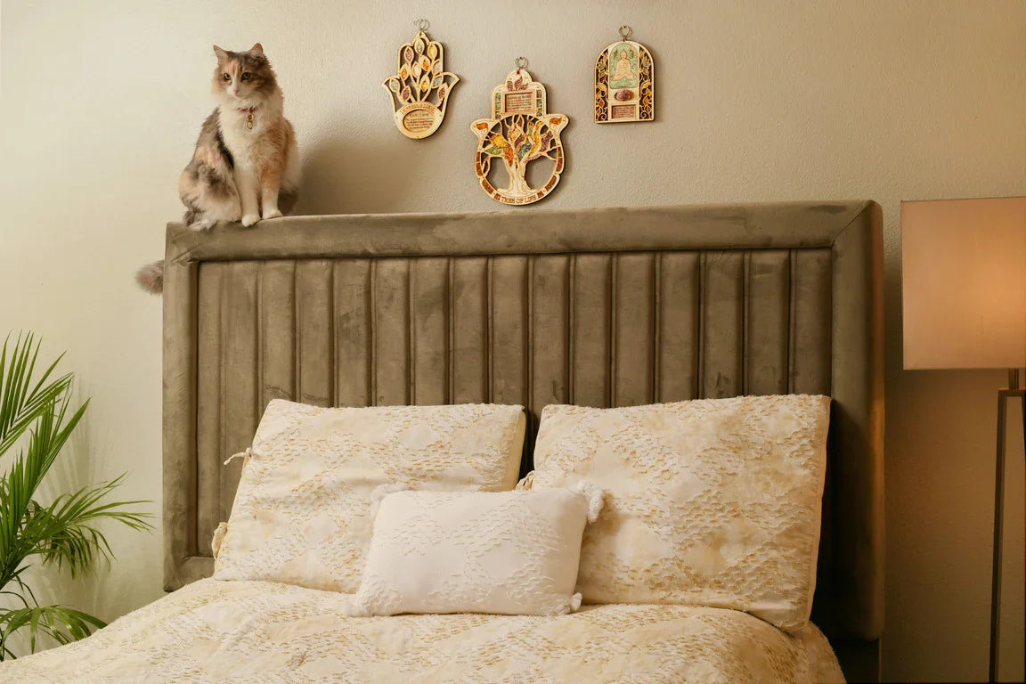Pet Protection
