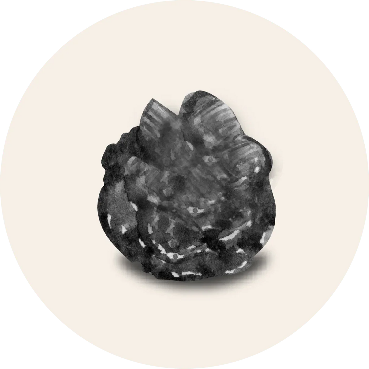 Lava stone