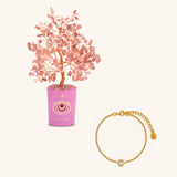 Emotional Harmony October Birthday Tree & Evil Eye Bracelet Set