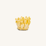 Spiritual Sunshine - Light Yellow Quartz Cluster