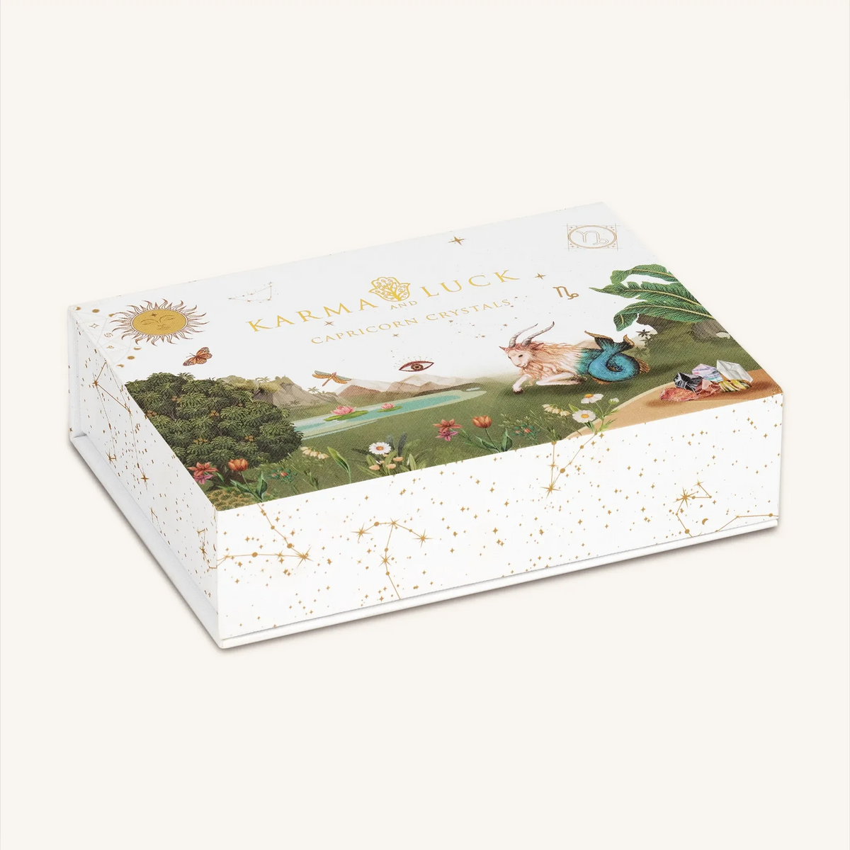 Wise Aspirations Capricorn Zodiac Crystal Box