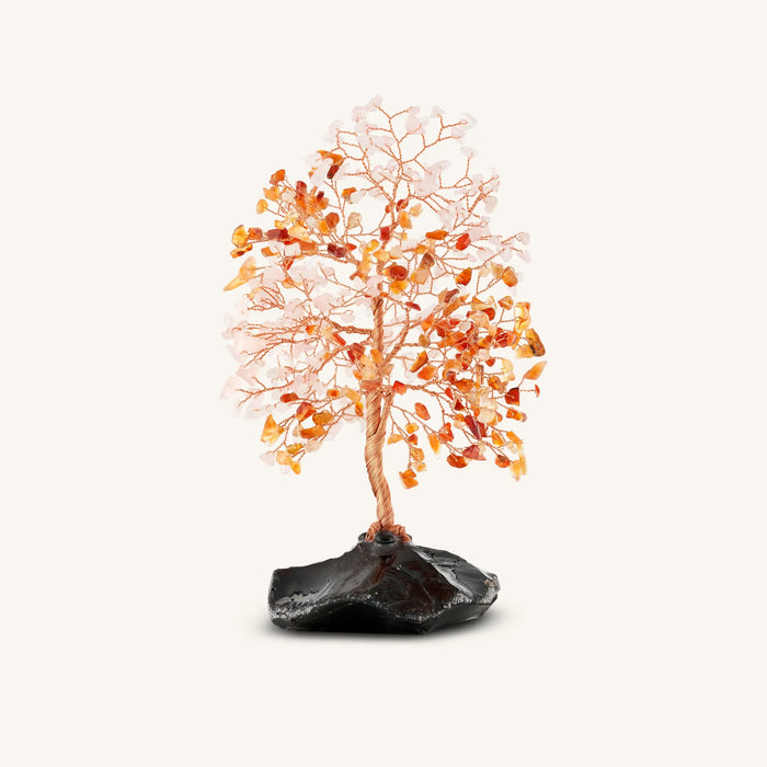 Enlivened Passion Rose Quartz & Carnelian Feng Shui Tree on Black Onyx