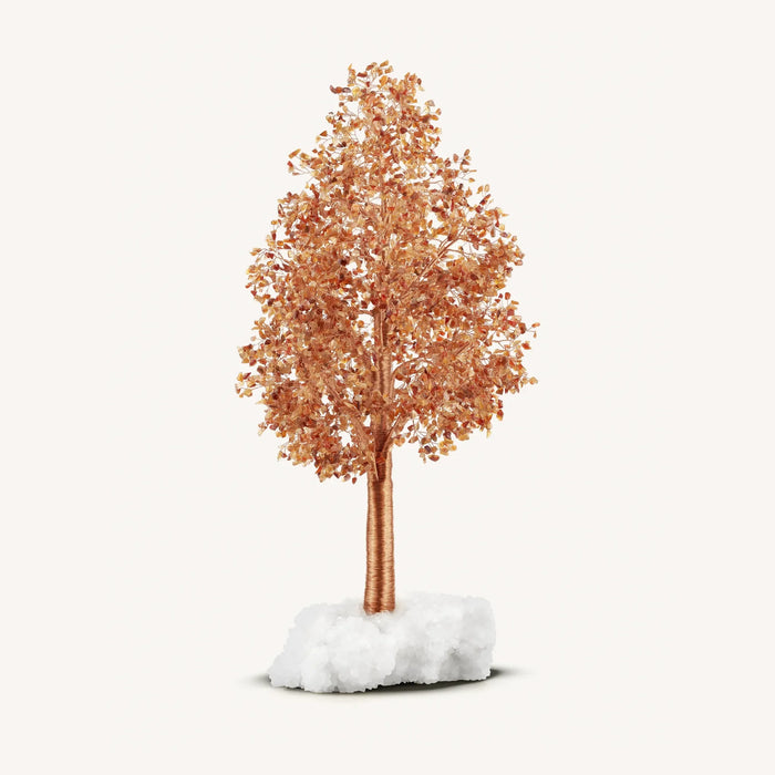 Positivity Attracts Red Agate on Crystal Quartz Feng Shui Tree