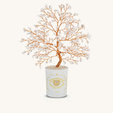 Amplified Dreams Crystal Quartz April Birthday Tree