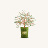 Lucky Invitation Glass Potted Jade Tree of Life