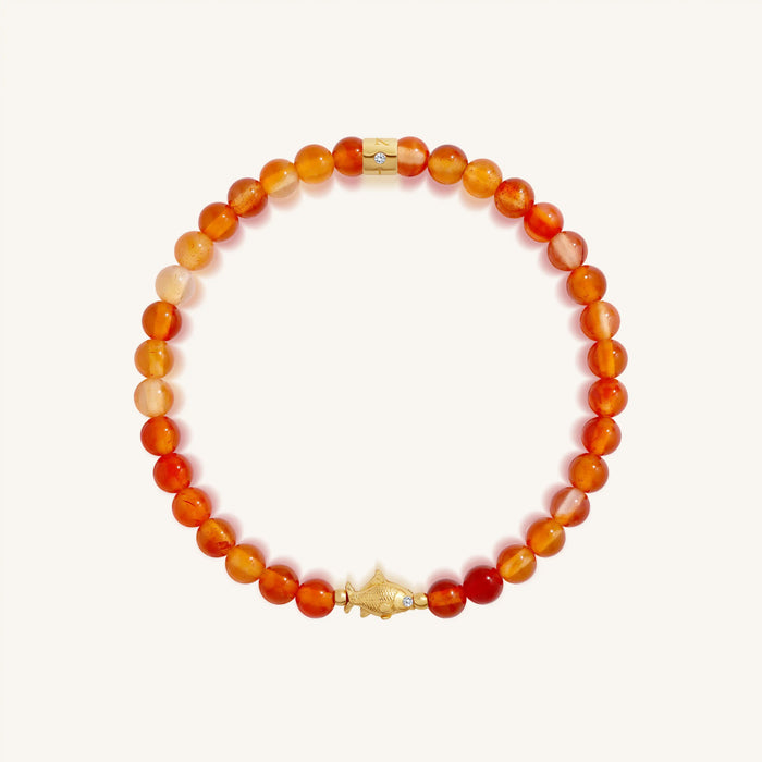 Playful Freedom Dolphin Carnelian Kids Bracelet