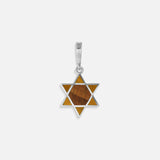 Ancestral Protector Tiger’s Eye Star of David Charm