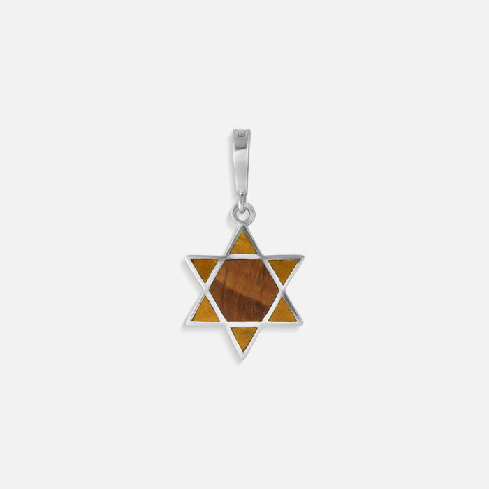 Ancestral Protector Tiger’s Eye Star of David Charm