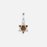 Wise Devotion Silver Tiger’s Eye Star of David Charm