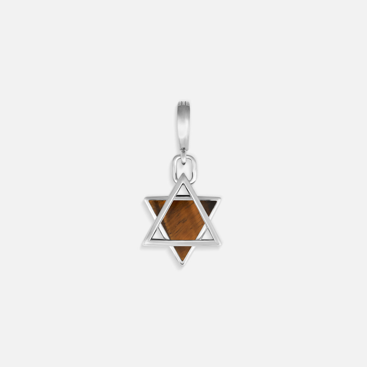 Wise Devotion Silver Tiger’s Eye Star of David Charm