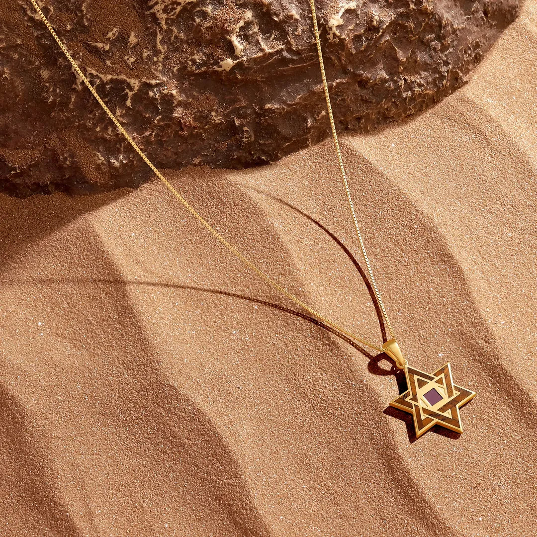 Radiant Legacy Star of David Torah Nano Chip Necklace