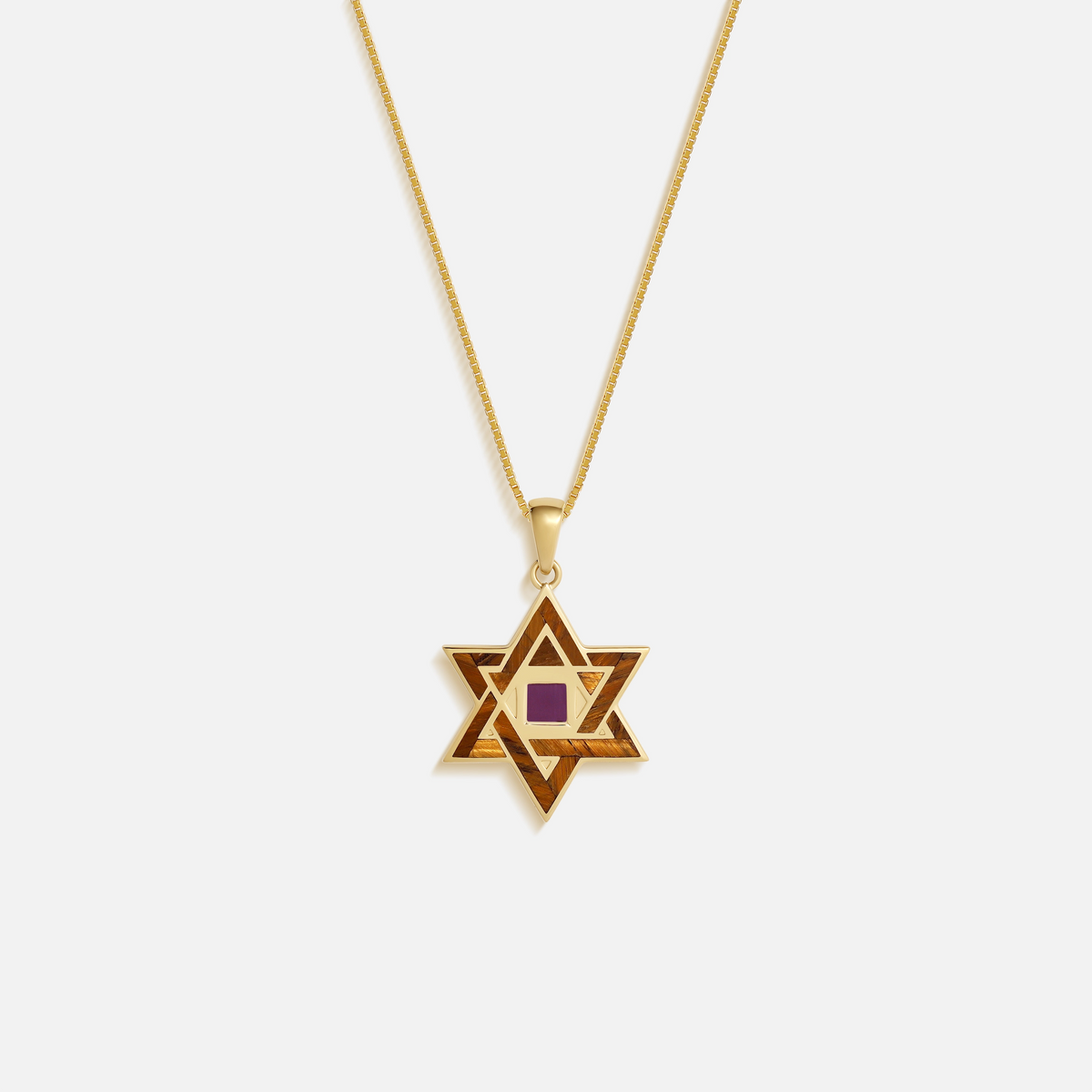 Radiant Legacy Star of David Torah Nano Chip Necklace