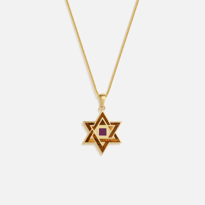 Radiant Legacy Star of David Torah Nano Chip Necklace