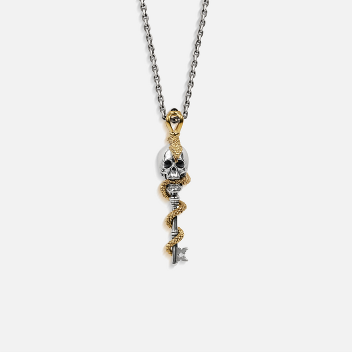 Powerful Guidance Snake Skull Onyx Necklace