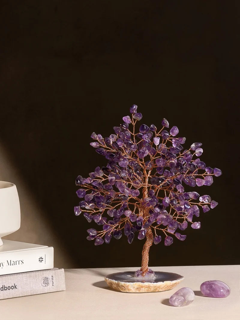 Explore Feng Shui
