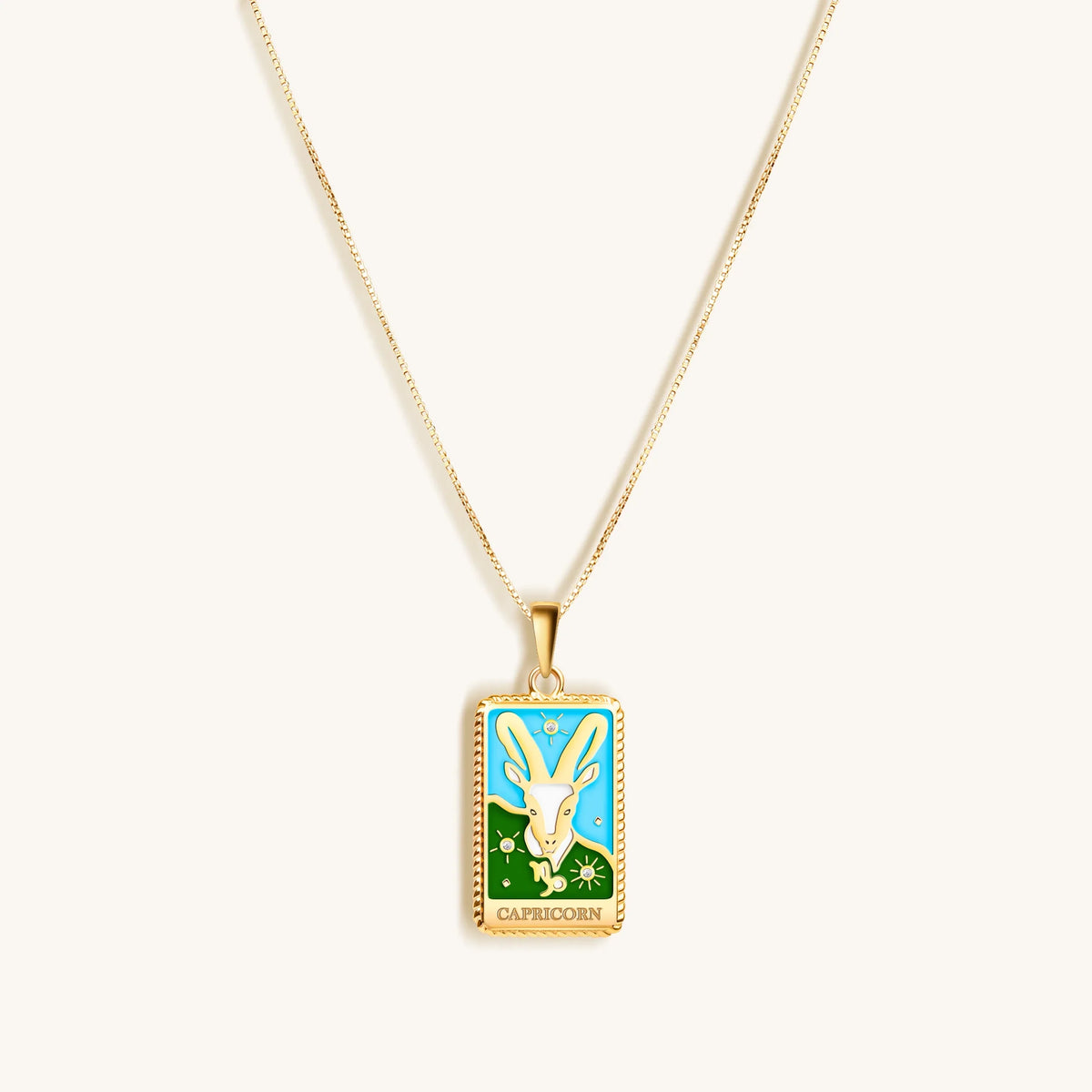 Ambitious Mind - Capricorn Card Necklace