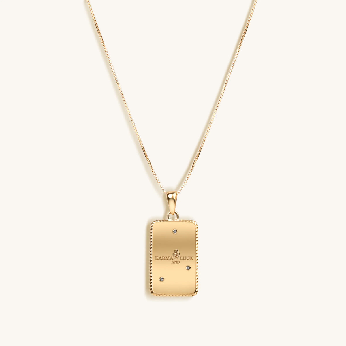 Ambitious Mind - Capricorn Card Necklace