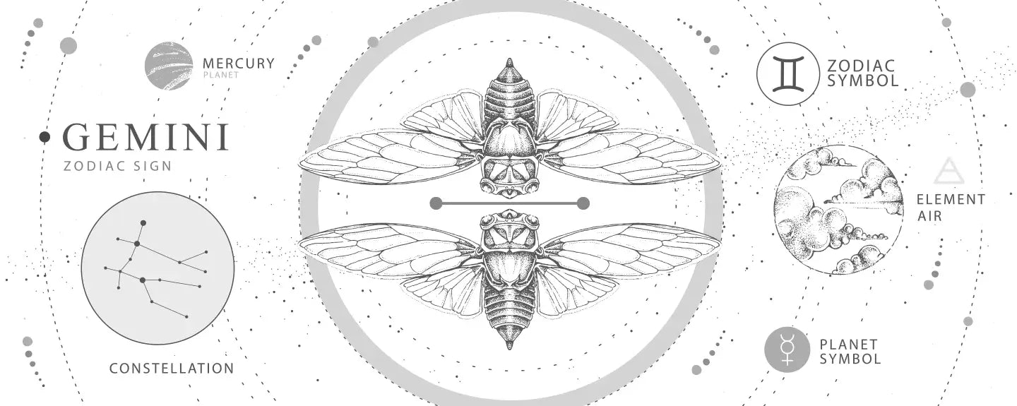 Gemini