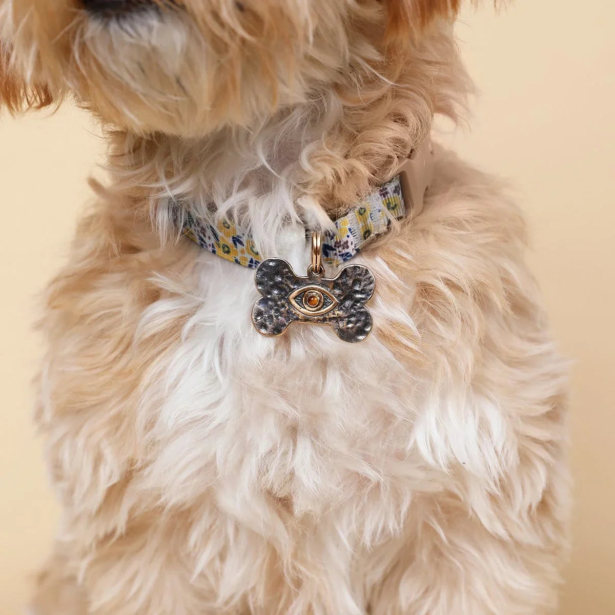 Karma and Luck  Pets  -  Confident Explorer - Bronze Bone Evil Eye Tiger's Eye Large Dog Tag