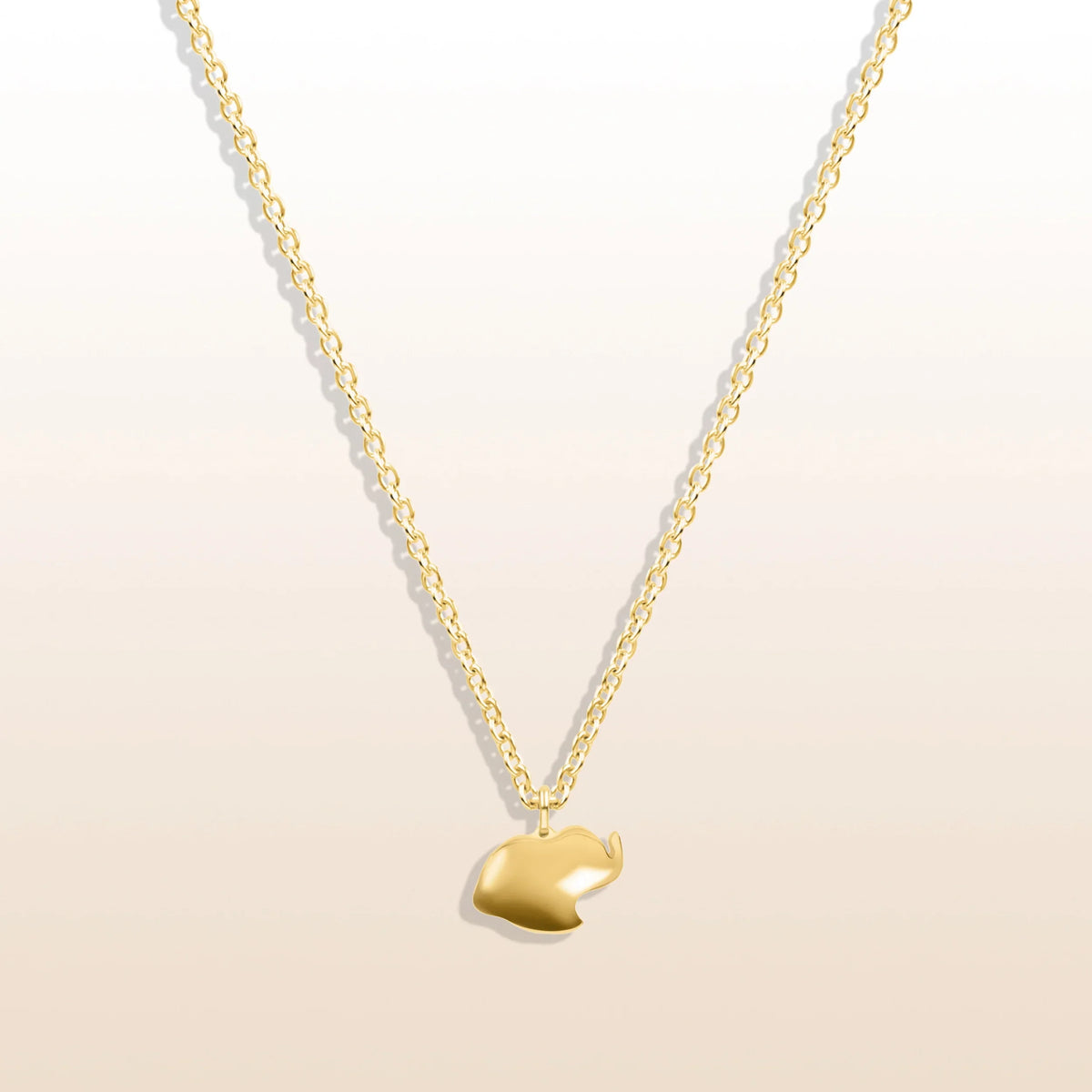 Joyful Future - Elephant Charm Necklace