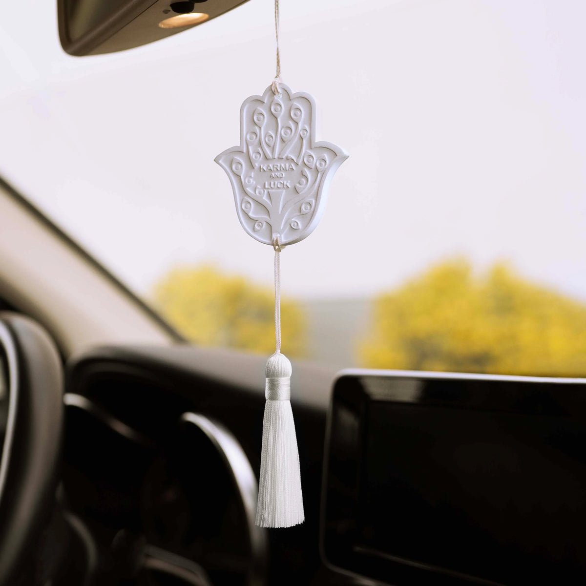 Pleasant Protection Soapstone "Earth" Freshener