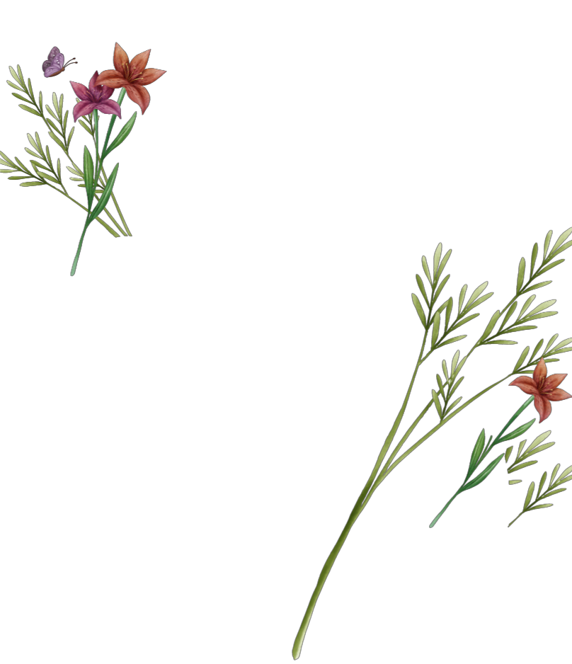 wholesale background image with flowers